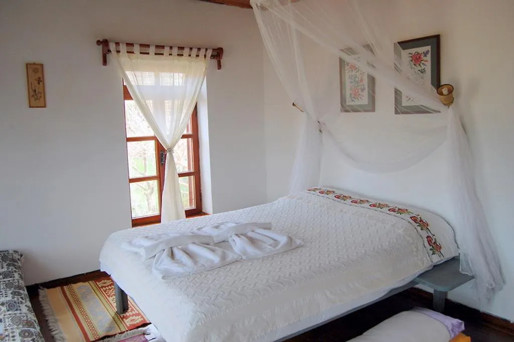 Salkim Konak Ve Agac Evler Konuk evi Selçuk Türkiye